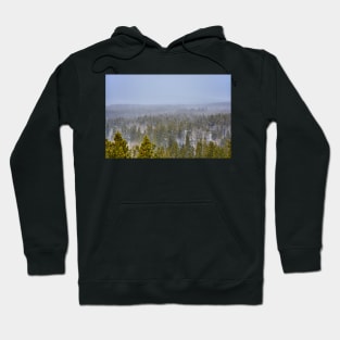 Peak to Peak Highway Snowstorm Study 1 Hoodie